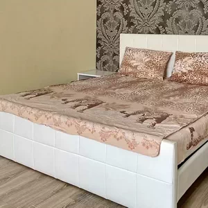 Квартира на сутки